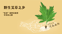 艾草越嫩越好，還是越久越好？悄悄告訴你：艾草這樣用，效果最好！