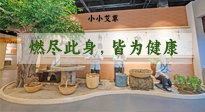【艾草知識】小小艾草，渾身是寶，一生燃盡此身，皆為健康！